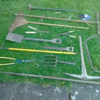 Assortment of old tools from shed